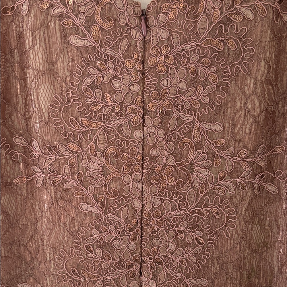 Dress the Population Dusty Rose Dress - XL - Picture 4 of 7